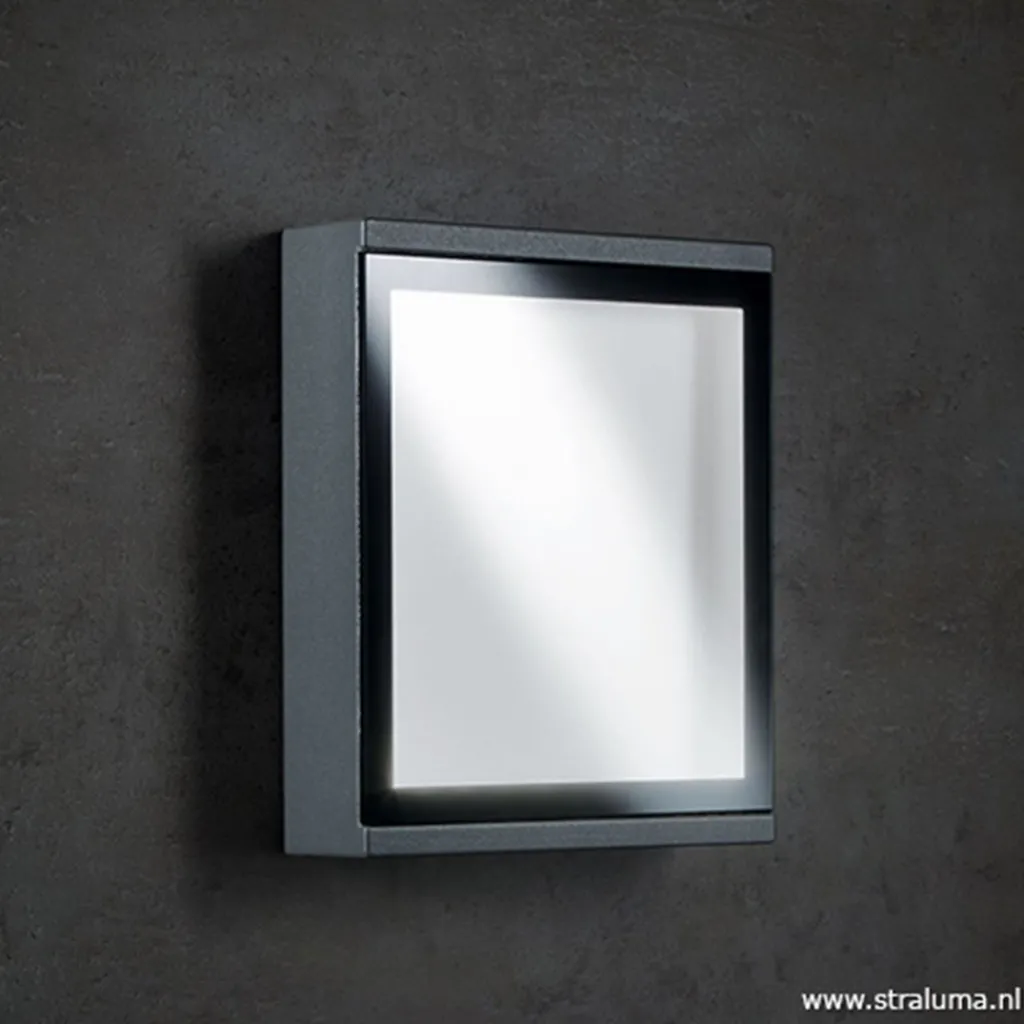 Buitenlamp wand rechthoek antraciet IP54>Straluma Cheap