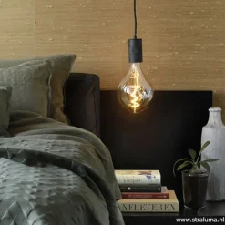 Calex Organic led lamp gold e27><noscript><img width=
