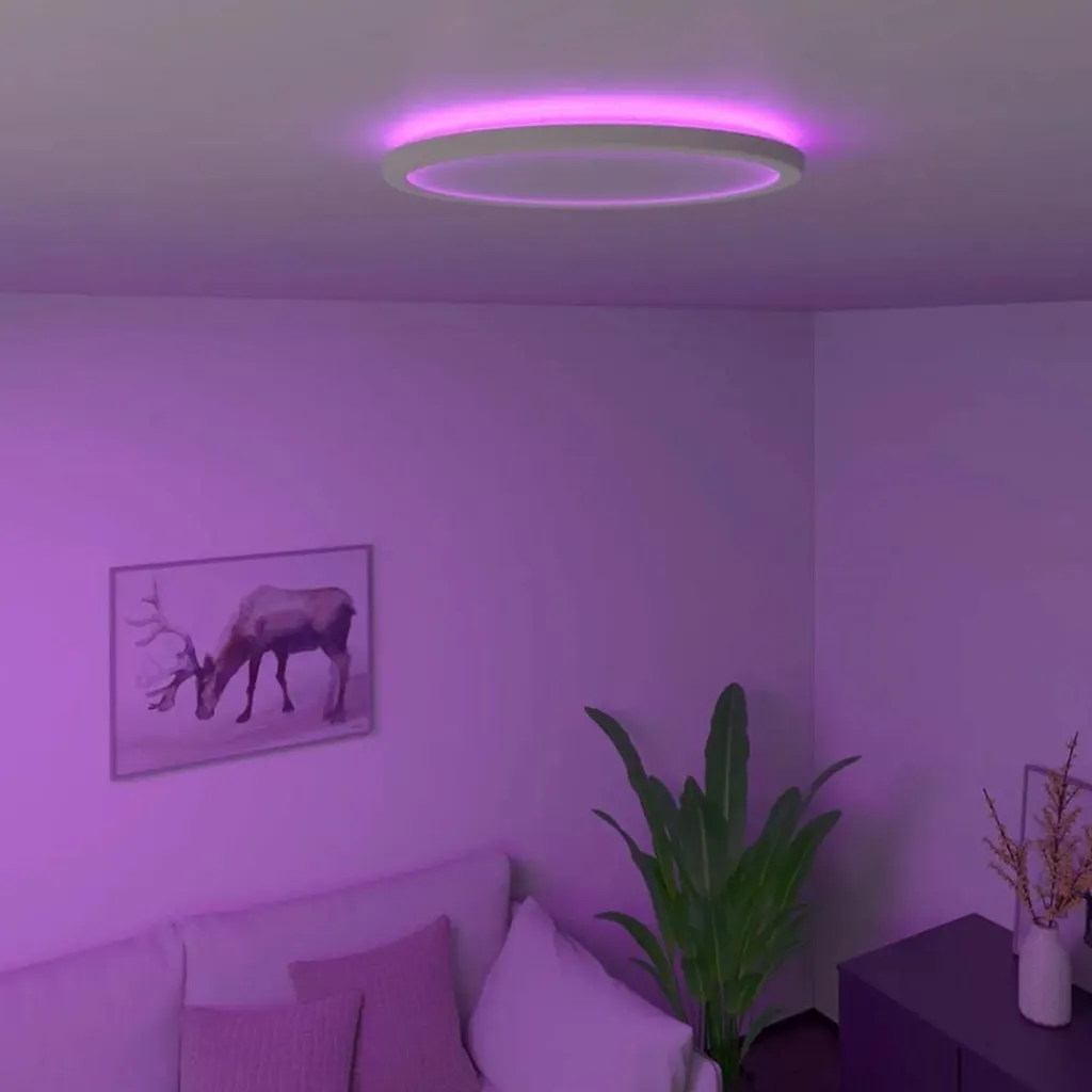 Calex Smart Halo plafondlamp 29 cm>Straluma Shop