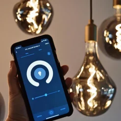 Calex Smart LED Globe G200 Titanium><noscript><img width=