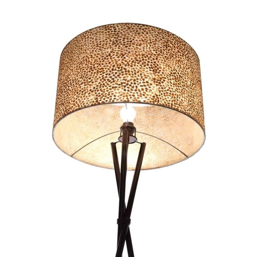 Driepoot schelpen vloerlamp zwart met bruin en goud>Straluma New