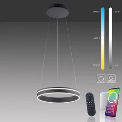 Hanglamp Q-Vito 40 zwart + afst.bed.CCT><noscript><img width=