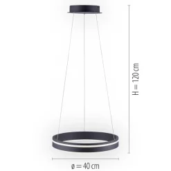 Hanglamp Q-Vito 40 zwart + afst.bed.CCT><noscript><img width=
