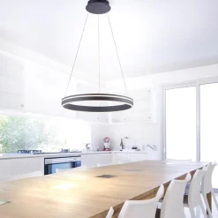 Hanglamp zwart ring 60cm + afst.bed.CCT><noscript><img width=