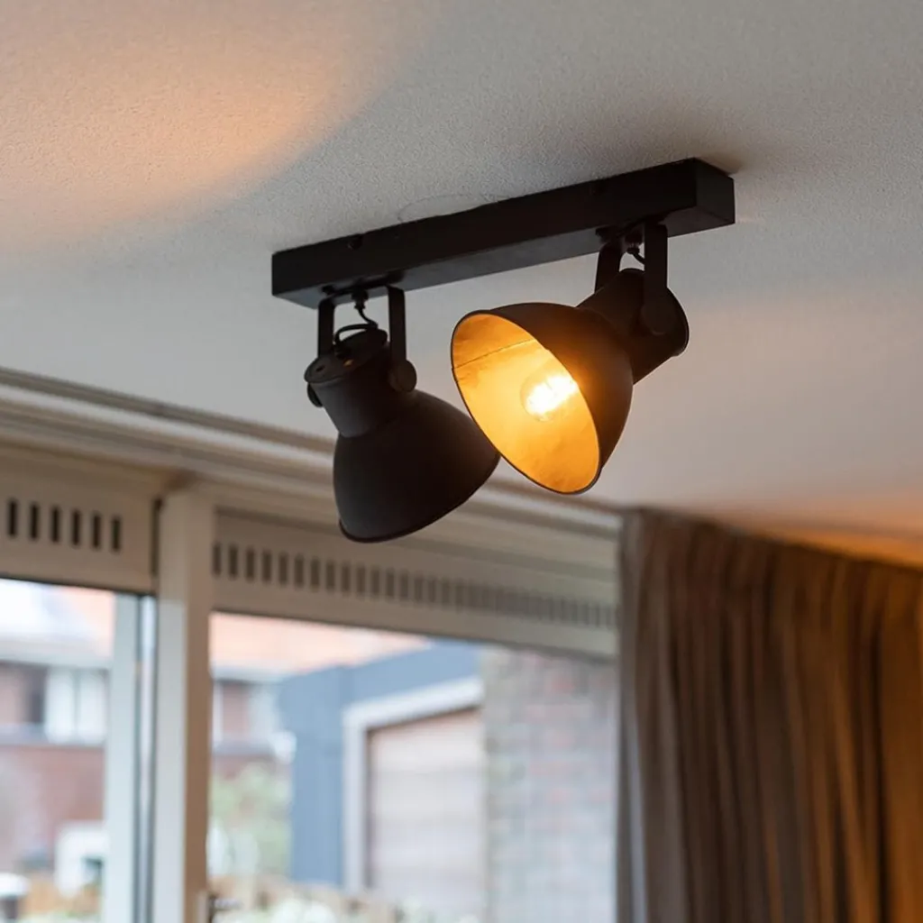 2-Lichts metalen plafondlamp Eliano mat zwart>Straluma Cheap