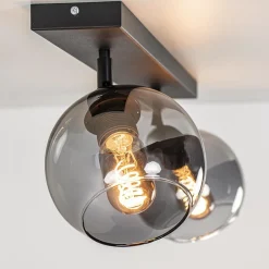 2-Lichts plafondlamp smoke glas met zwart><noscript><img width=