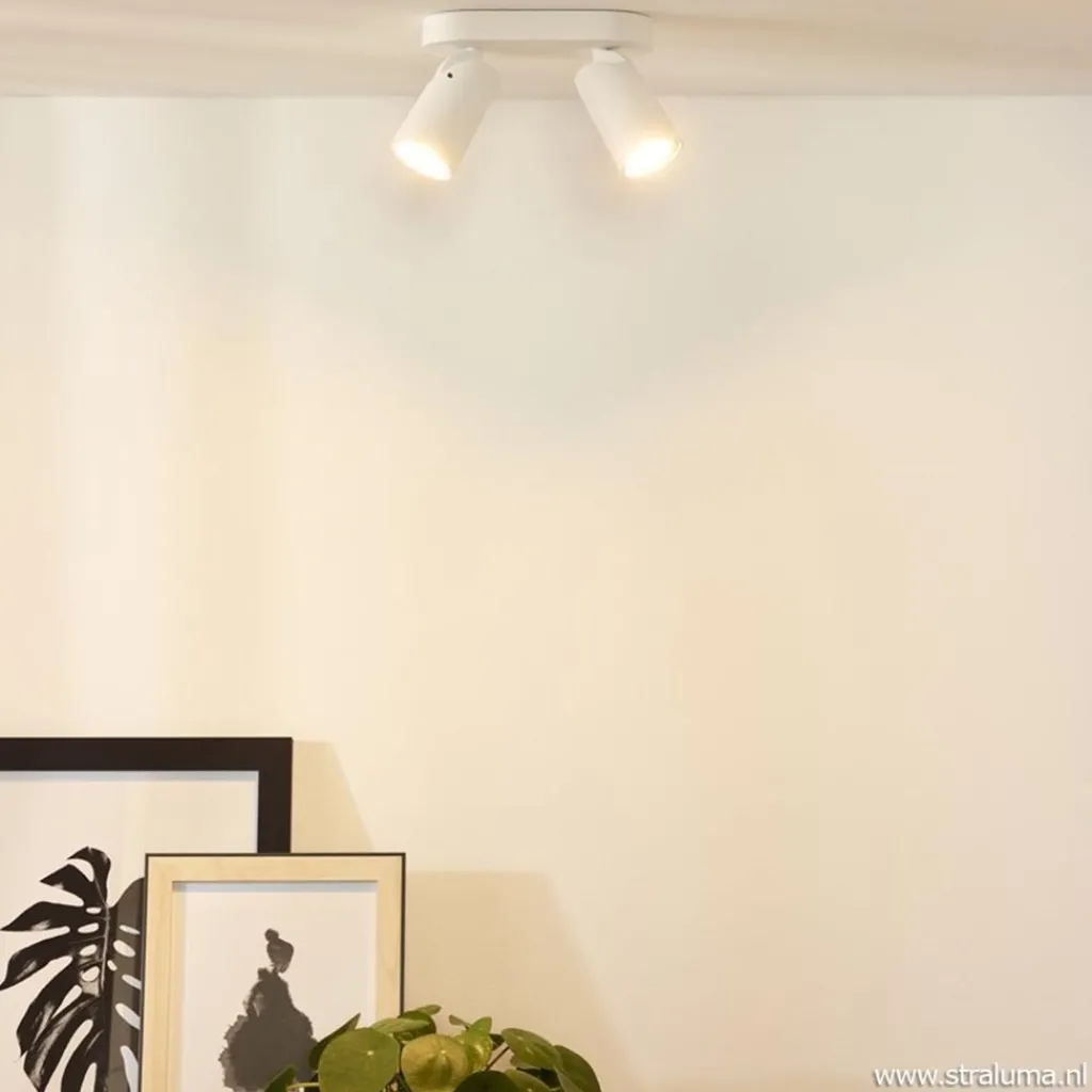 Plafondspot 2L wit incl.gu10 dtw>Straluma Discount