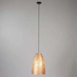 Schelpen hanglamp goud rond>Straluma Store
