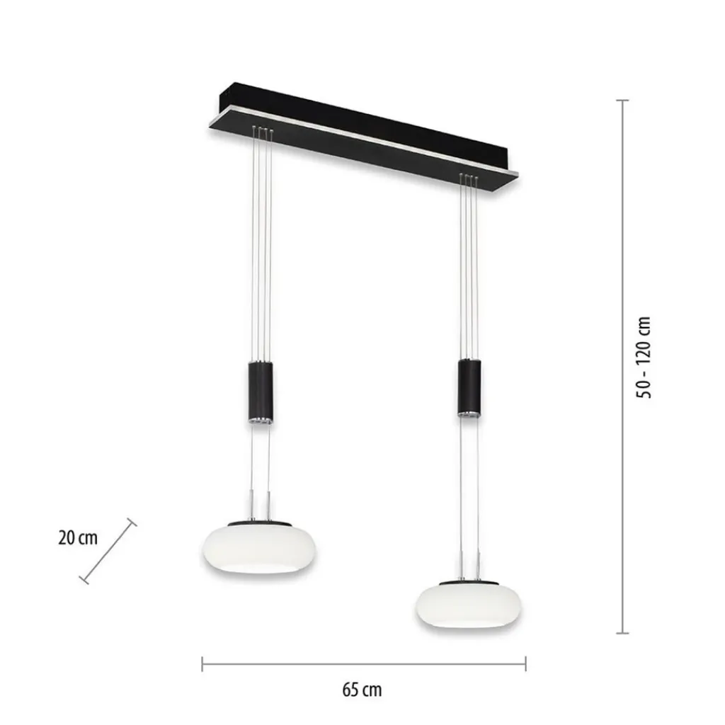 Smart hanglamp 2-lichts mat zwart met opaal glas dimbaar>Straluma Sale
