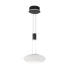 Smart hanglamp mat zwart met opaal glazen kap>Straluma Cheap