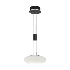 Smart hanglamp mat zwart met opaal glazen kap>Straluma Cheap