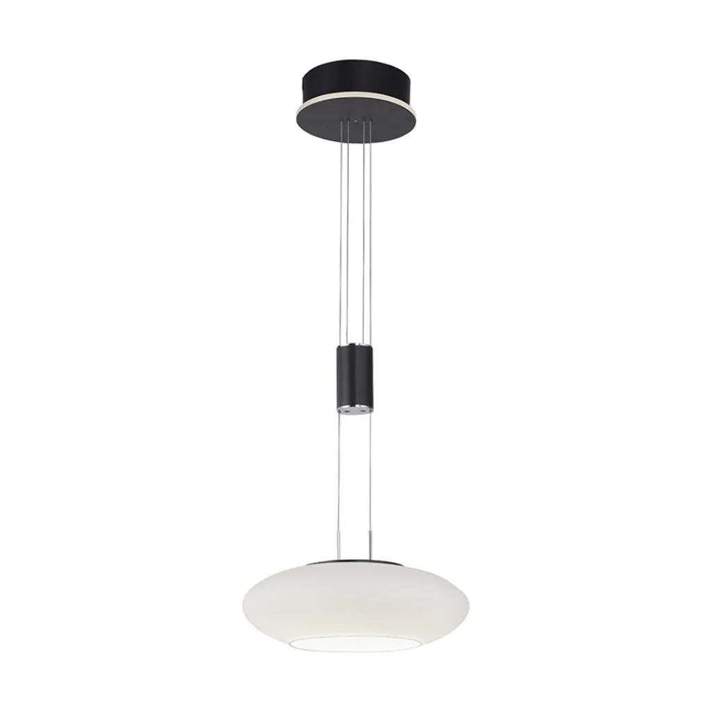 Smart hanglamp mat zwart met opaal glazen kap>Straluma Cheap