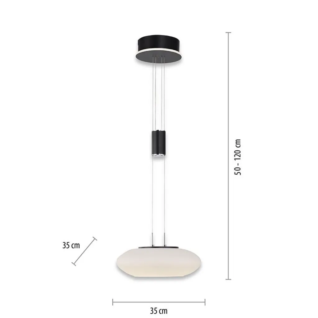 Smart hanglamp mat zwart met opaal glazen kap>Straluma Cheap