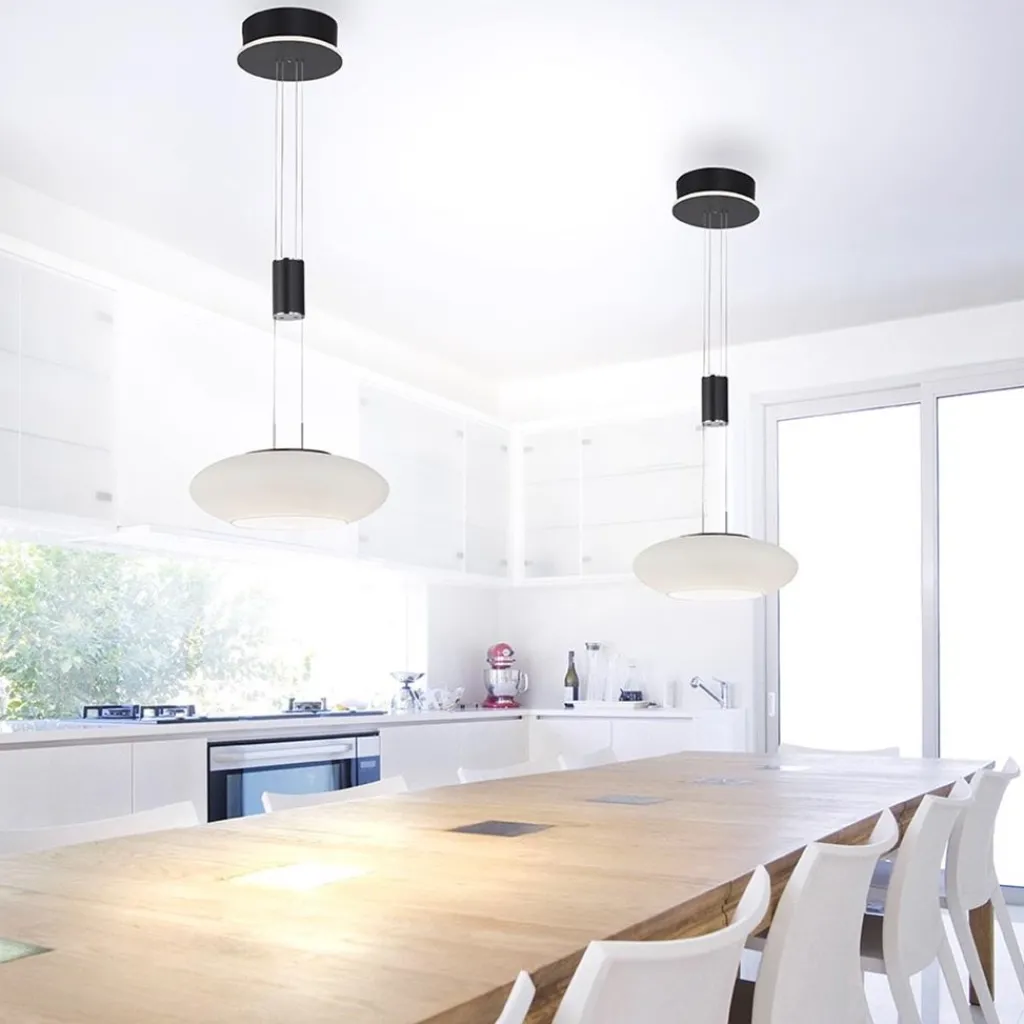 Smart hanglamp mat zwart met opaal glazen kap>Straluma Cheap