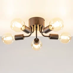 Trendy plafondlamp mat zwart exclusief lichtbron>Straluma Hot