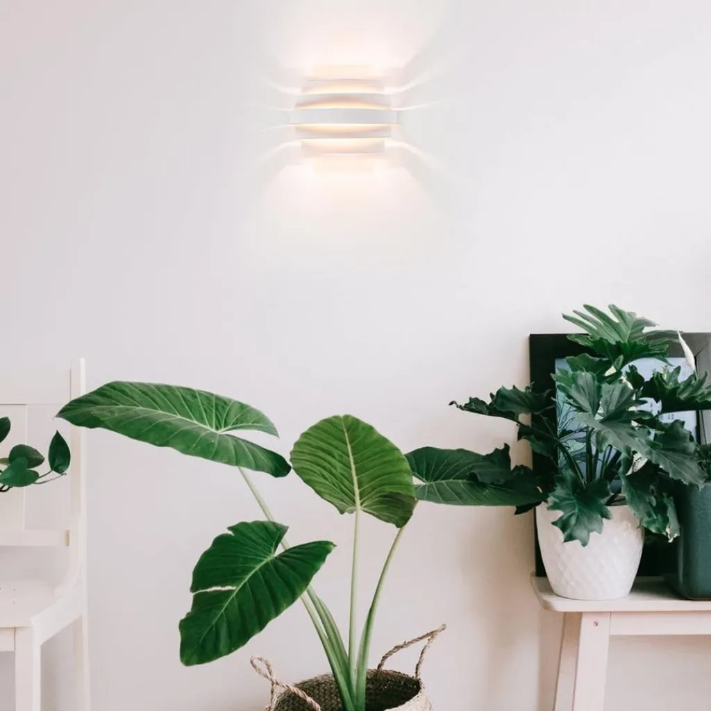 Wandlamp Scudo klein wit/goud>Straluma Store