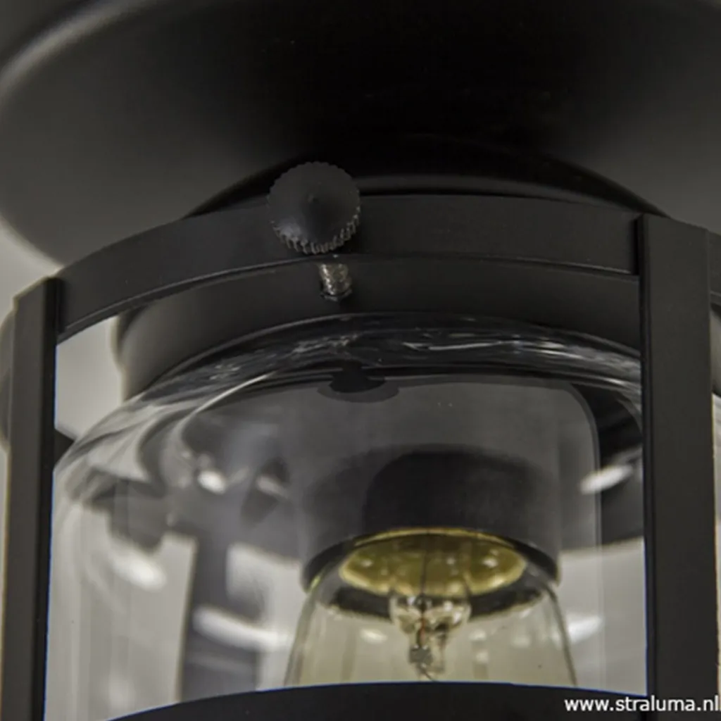 Zwarte Kooi- plafondlamp met glas>Straluma Outlet